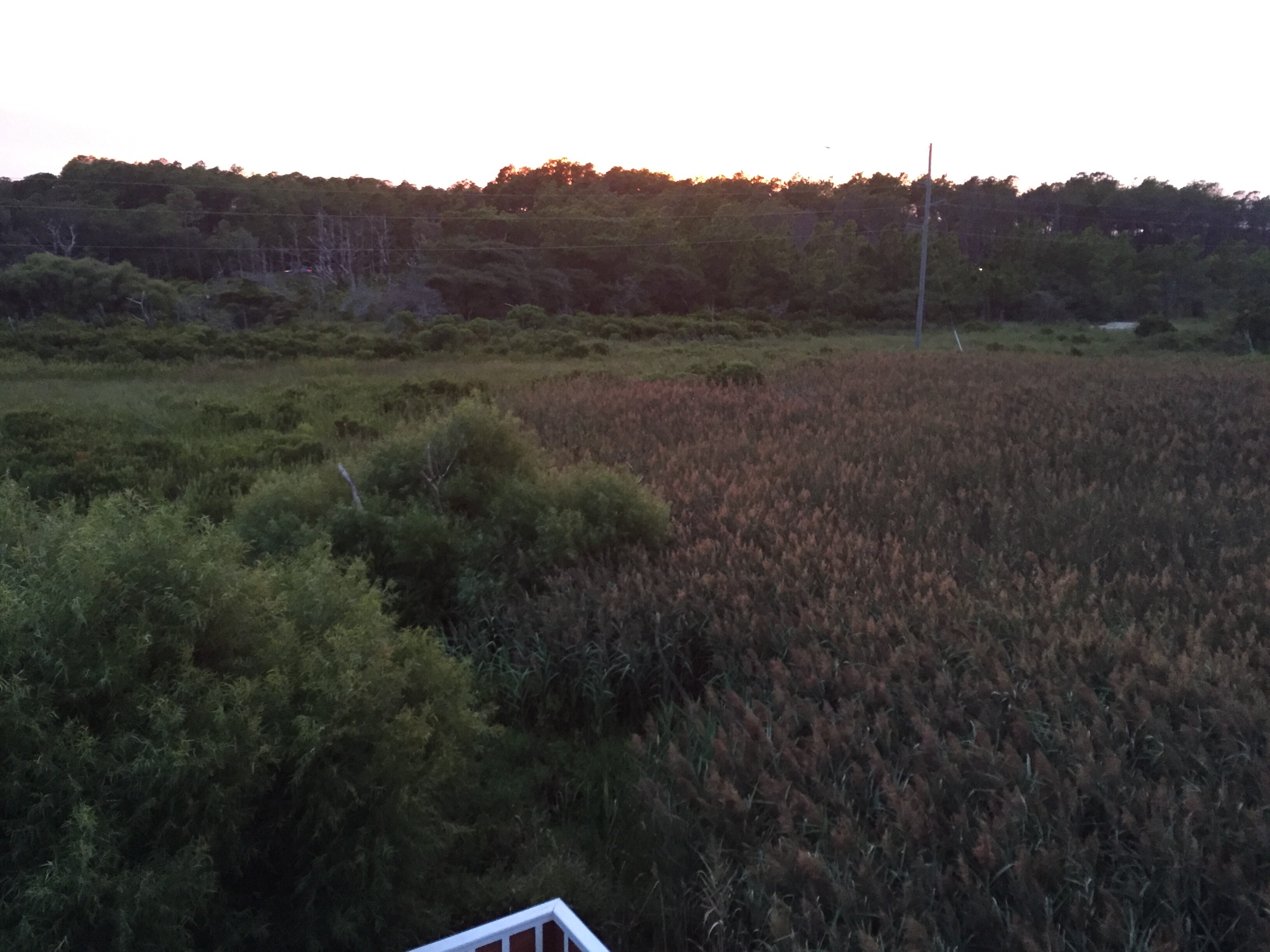 August 2016 Stay - SN37 - 4 Shore, Chris Jones