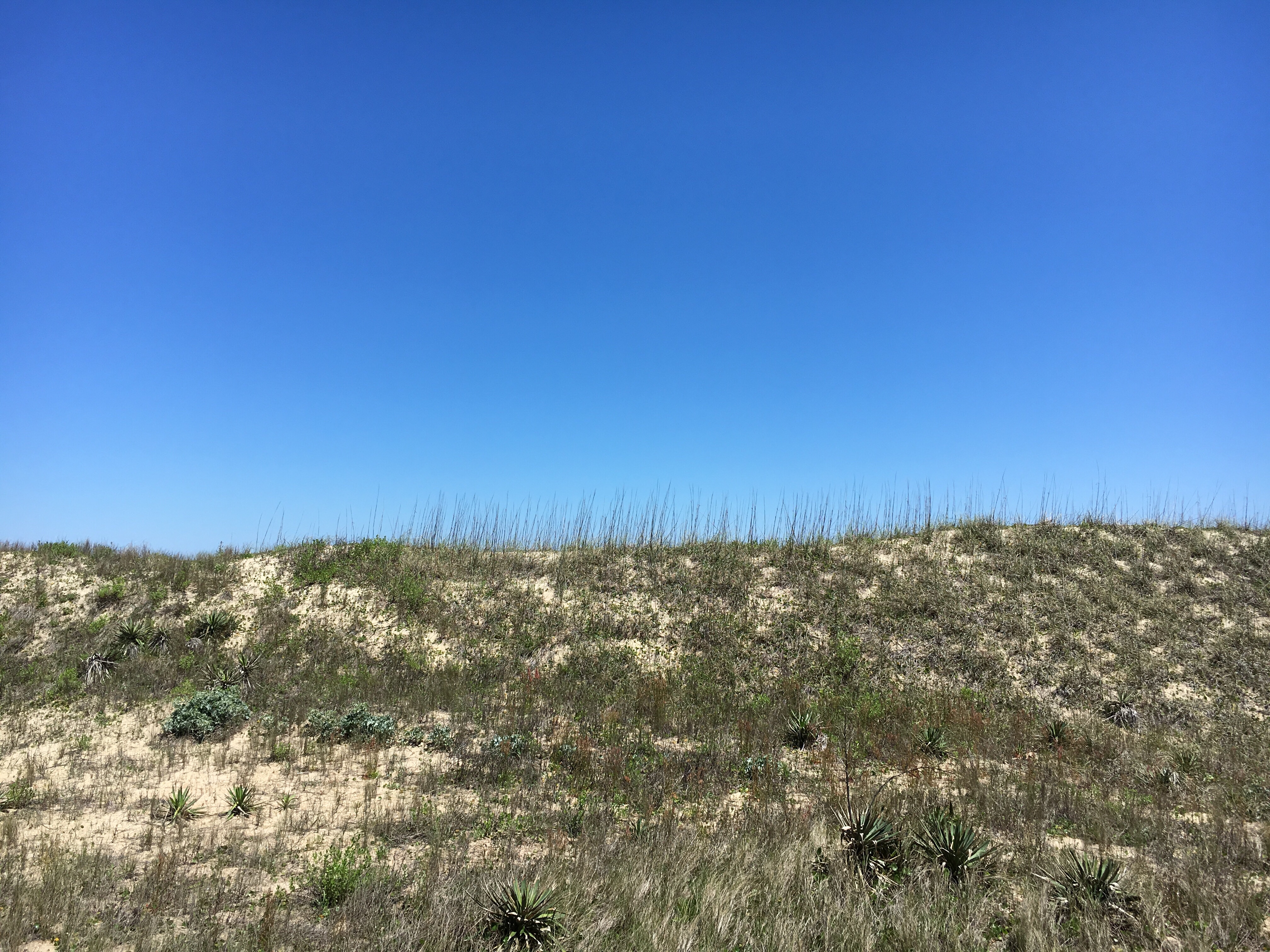 May 2017 Stay - H102S - Heron Cove 102S, Amy Levey