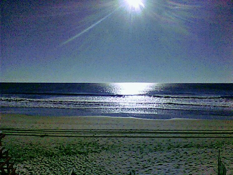 May 2017 Stay - OSI05 - Suntastic, Judy Watson