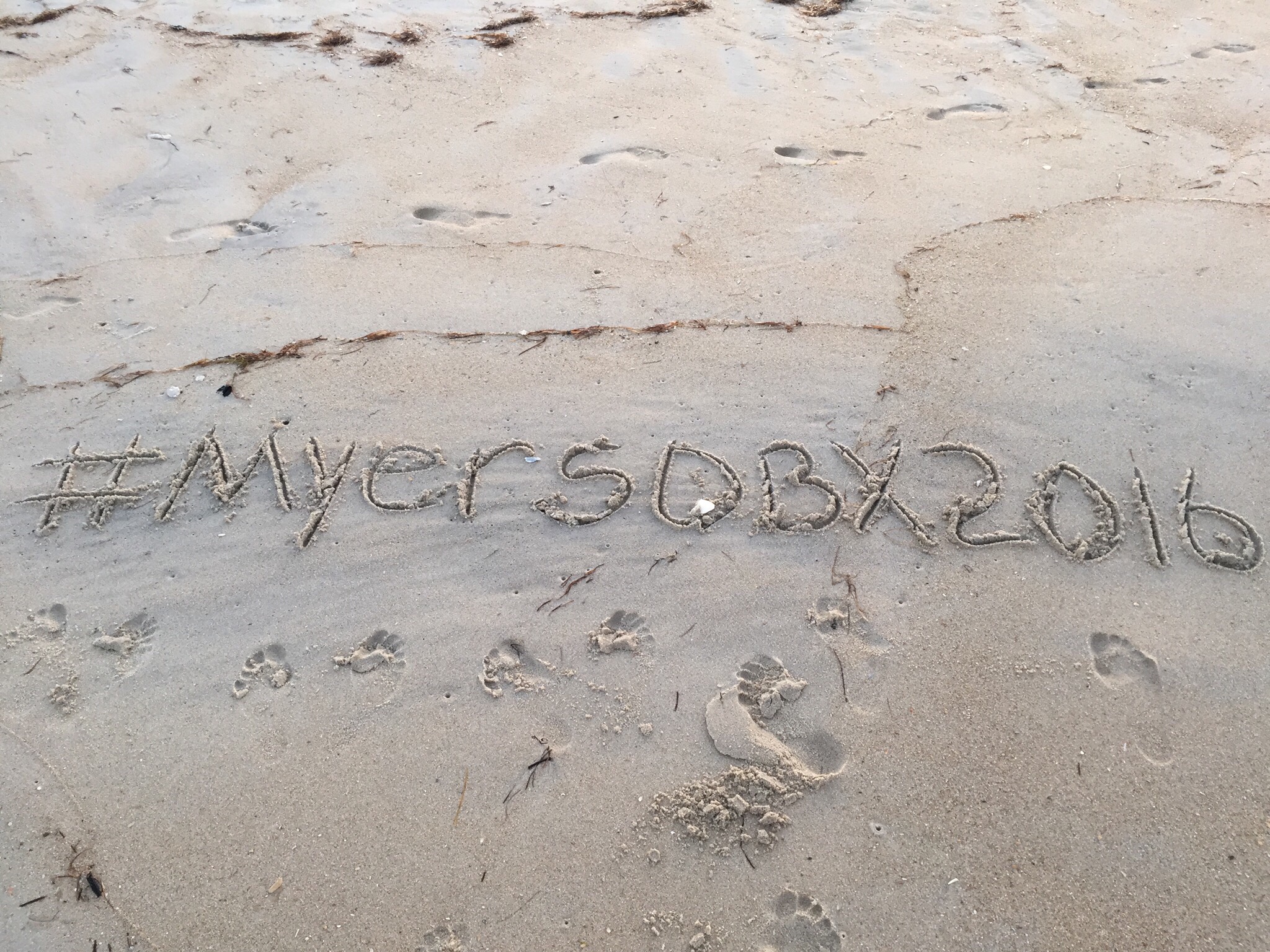 July 2016 Stay - B18 - Endless Summer Days, Wendy Myers