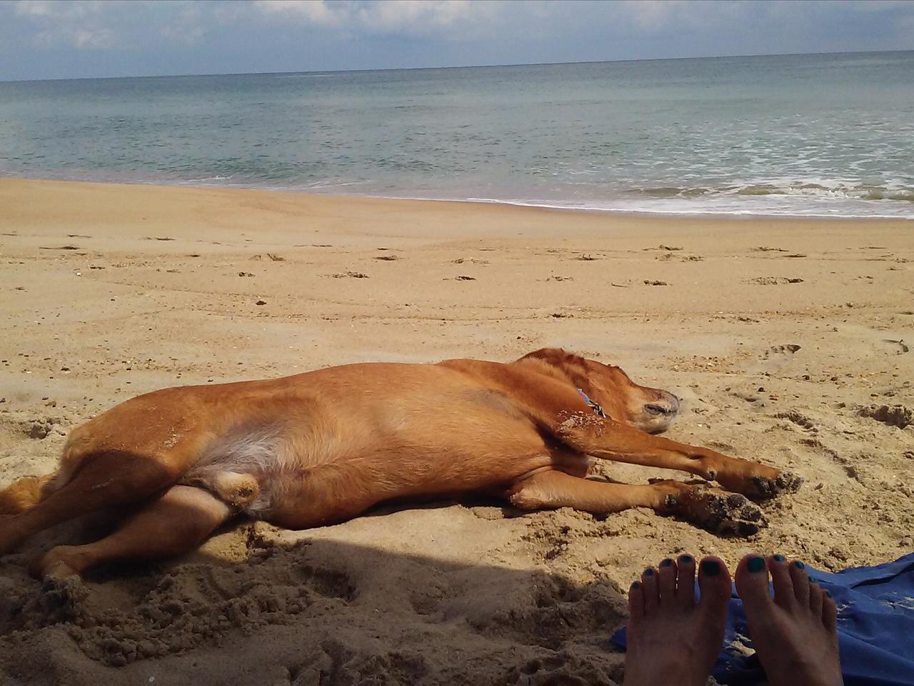 September 2015 Stay - JR16 - Beachcomber, Brenda Kijesky