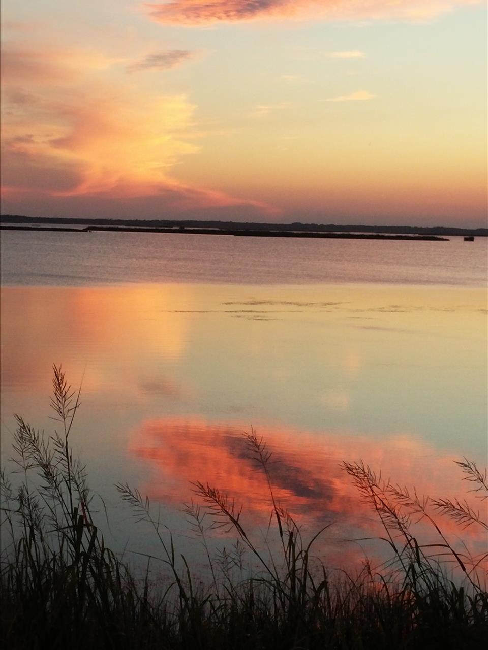 August 2015 Stay - CC062 - Three Swans, Catherine Ferguson
