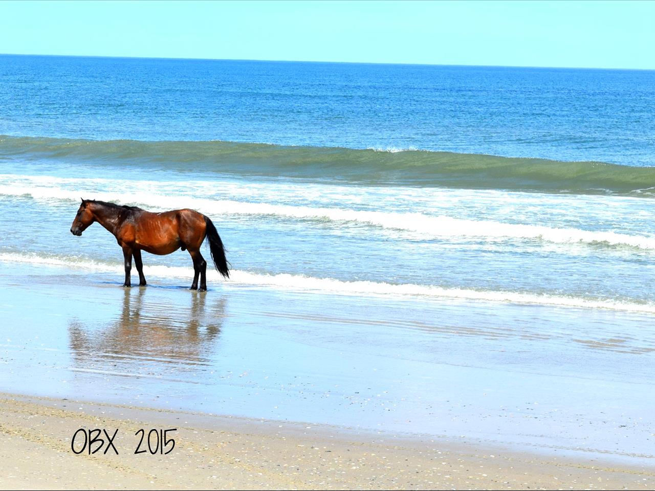 July 2015 Stay - CC212 - Wine Down, Gloria Harris